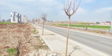 WhatsApp Image 2026-03-06 at 13.21.45