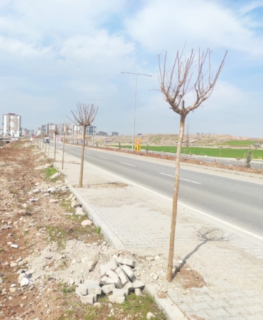 WhatsApp Image 2026-03-06 at 13.21.45