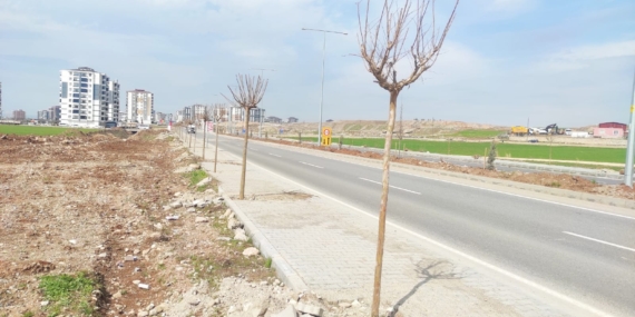 Batman’da Yeşil Kuşak Projesi kapsamında Hasankeyf güzergâhı ağaçlandırılıyor