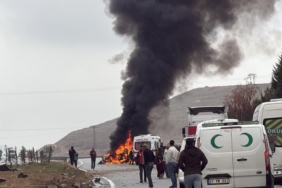 WhatsApp Image 2026-03-07 at 12.29.18