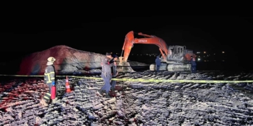 WhatsApp Image 2026-03-08 at 00.26.16