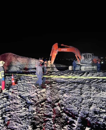 WhatsApp Image 2026-03-08 at 00.26.16