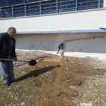 Tercihler ve Batman Üniversitesi thumbnail