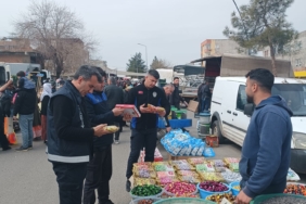 WhatsApp Image 2026-03-13 at 17.33.56