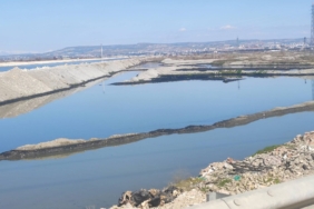 WhatsApp Image 2026-03-16 at 12.14.24