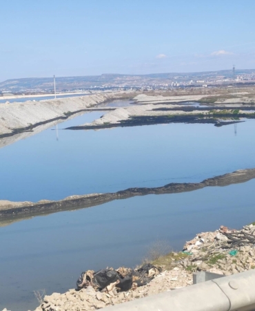 WhatsApp Image 2026-03-16 at 12.14.24