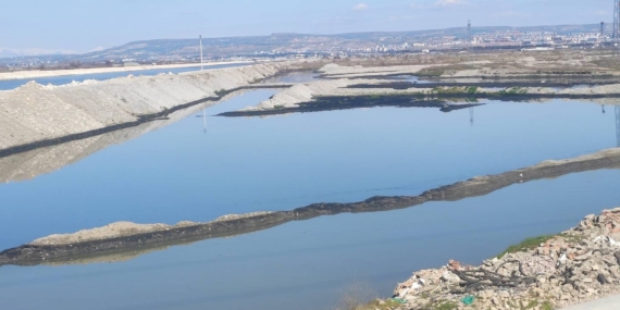 Batman Çayı’nda kirlilik tepkisi: Lağım çukuruna döndü