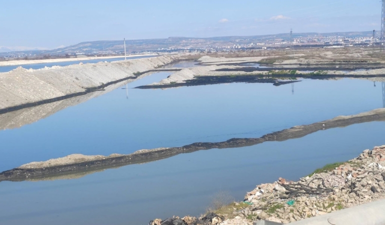 WhatsApp Image 2026-03-16 at 12.14.24