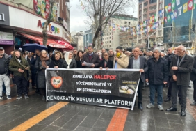 WhatsApp Image 2026-03-16 at 14.05.34