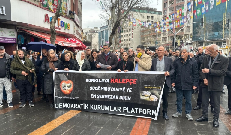 WhatsApp Image 2026-03-16 at 14.05.34