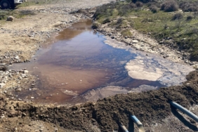 WhatsApp Image 2026-03-17 at 16.44.47