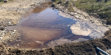 WhatsApp Image 2026-03-17 at 16.44.47