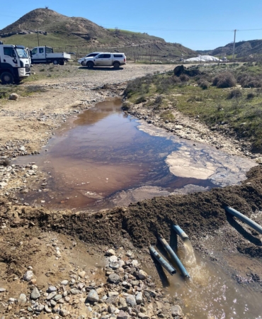 WhatsApp Image 2026-03-17 at 16.44.47