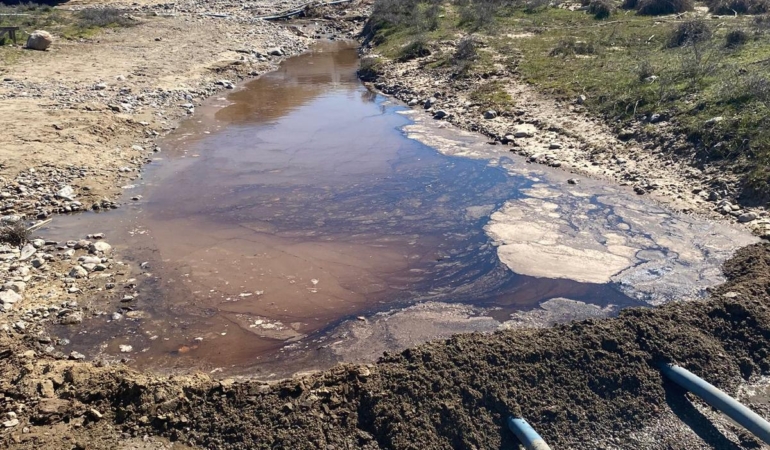 WhatsApp Image 2026-03-17 at 16.44.47