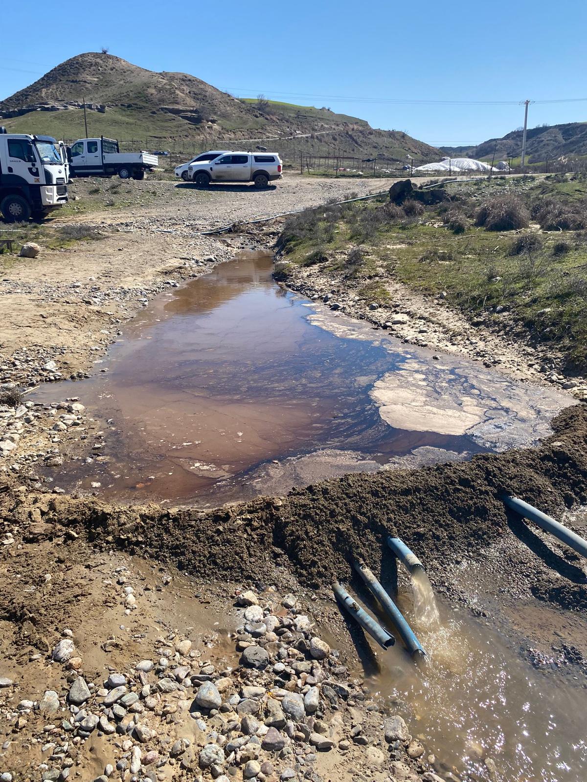 WhatsApp Image 2026-03-17 at 16.44.47