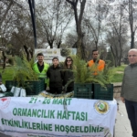 AFAD altından fay geçen il ve ilçeleri açıkladı! Batman için deprem riski nedir? thumbnail