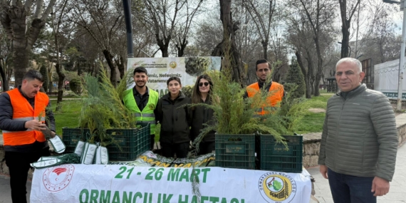 Batman’da Orman Haftası’nda fidan seferberliği