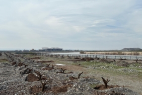 WhatsApp Image 2026-03-24 at 12.29.59 (1)