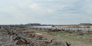 WhatsApp Image 2026-03-24 at 12.29.59 (1)