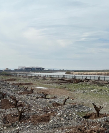 WhatsApp Image 2026-03-24 at 12.29.59 (1)