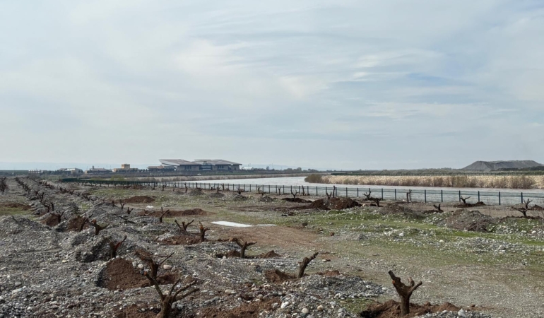 WhatsApp Image 2026-03-24 at 12.29.59 (1)