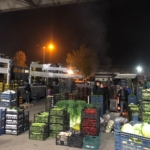 WhatsApp Image 2026-03-26 at 09.34.50