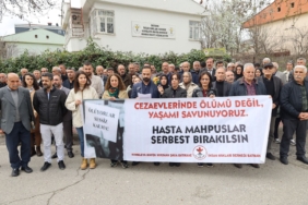 WhatsApp Image 2026-03-26 at 14.50.34 (4)