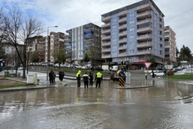 WhatsApp Image 2026-03-30 at 10.03.21