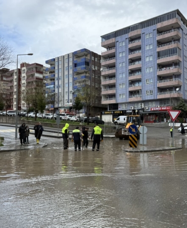 WhatsApp Image 2026-03-30 at 10.03.21