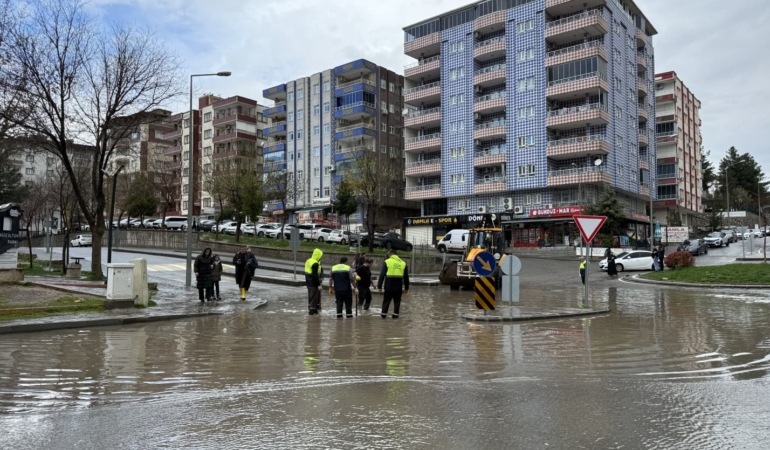 WhatsApp Image 2026-03-30 at 10.03.21