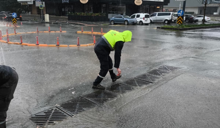 WhatsApp Image 2026-03-30 at 10.17.46