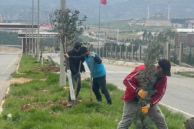 WhatsApp Image 2026-03-30 at 12.47.29 (1)