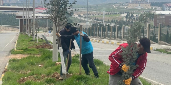 Batman’da yeşil hamle: 1005 ağaçla geleceğe nefes