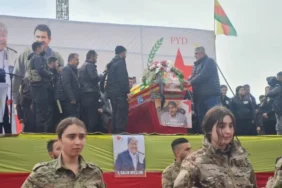 image_870x_69b3ce38cd9d1-768x576