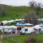 Filistin'den İsrail'e: Cenin'deki saldırısı savaş suçudur thumbnail