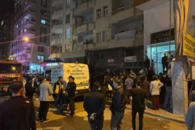 7aed010e-380f-49e8-8032-7d637612860b