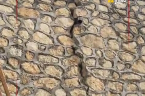 Ekran görüntüsü 2026-04-04 103555