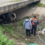 Batman Üniversitesi’nden öğrencilere ramazan müjdesi thumbnail