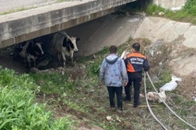 Ekran görüntüsü 2026-04-06 104824