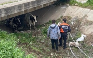 Ekran görüntüsü 2026-04-06 104824
