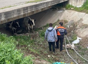 Ekran görüntüsü 2026-04-06 104824