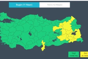 Ekran görüntüsü 2026-04-11 103749