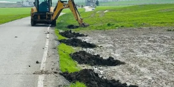 Batman – Beşiri’de 4 bin ağaç toprakla buluştu