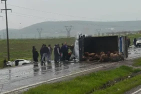 Ekran görüntüsü 2026-04-27 101745