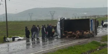 Ekran görüntüsü 2026-04-27 101745