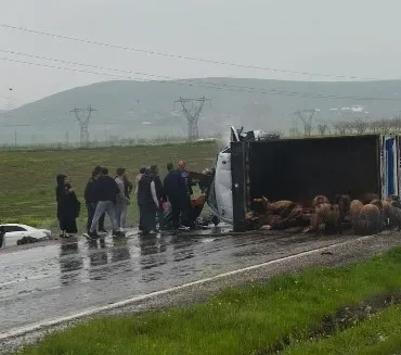 Ekran görüntüsü 2026-04-27 101745