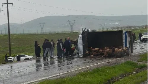 Batman  – Kurtalan yolunda feci kaza: 2 ölü, 3 yaralı
