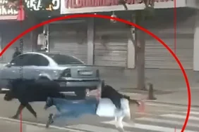 Ekran görüntüsü 2026-04-29 120713