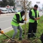 Batman’da düğün salonunda bıçaklı kavga: 3 kişi yaralandı thumbnail