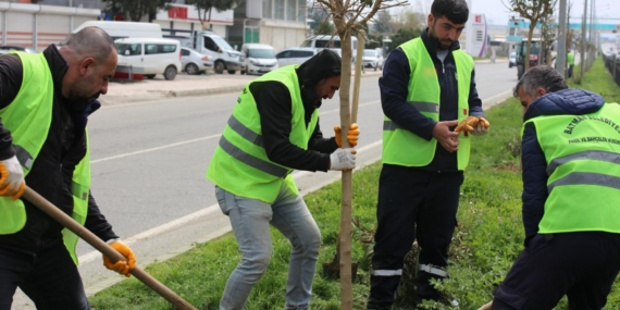 Batman’a nefes olan ağaçlandırma seferberliği